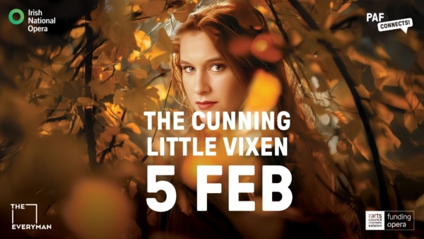 Paf Connects @ Cunning Little Vixen (facebook Cover)