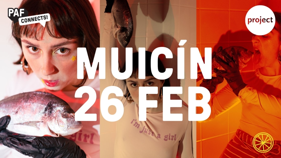 Paf Connects @ Muicín (facebook Cover)