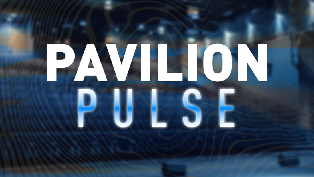 Pulse Hi Res.jpg